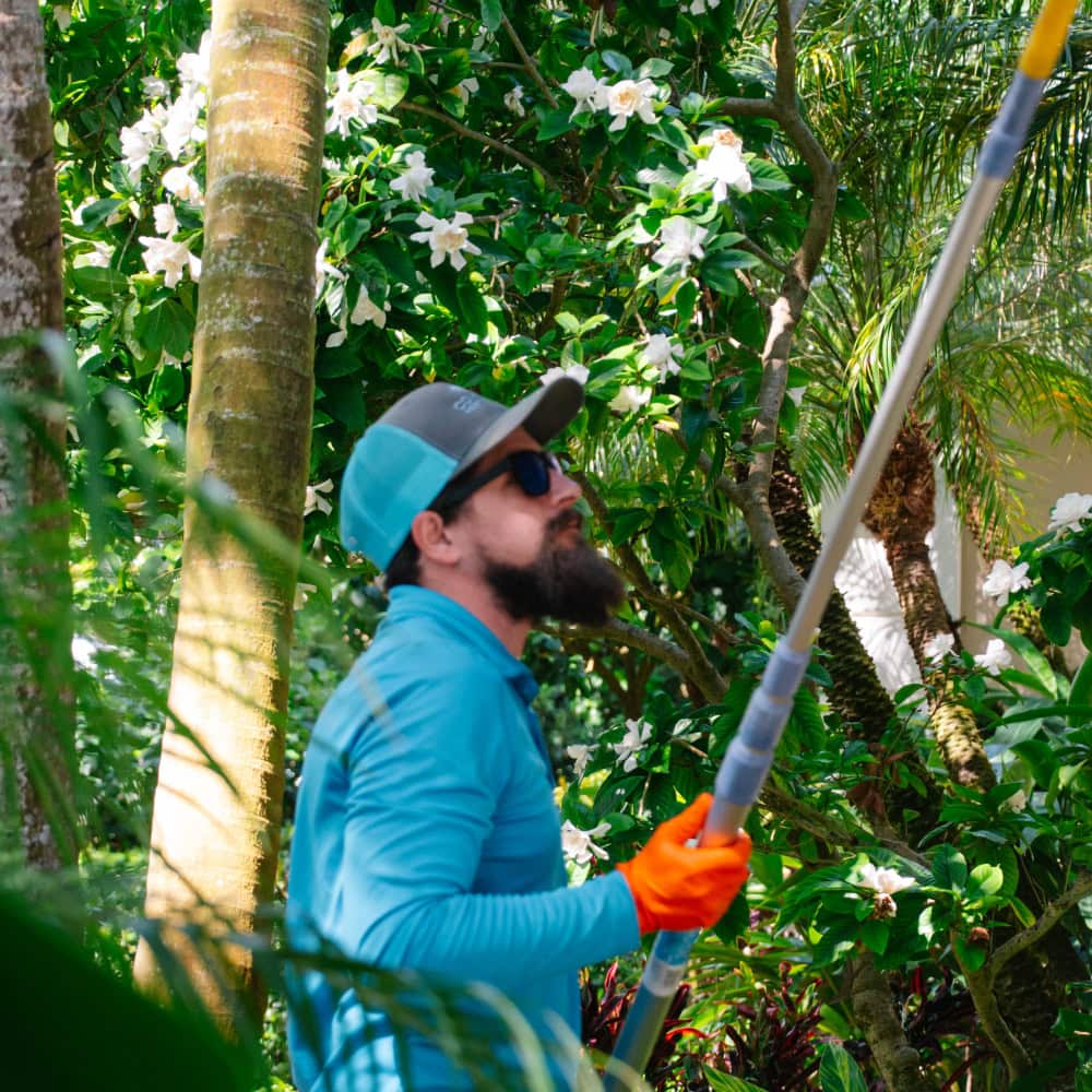 Pest control tech removing spider webs