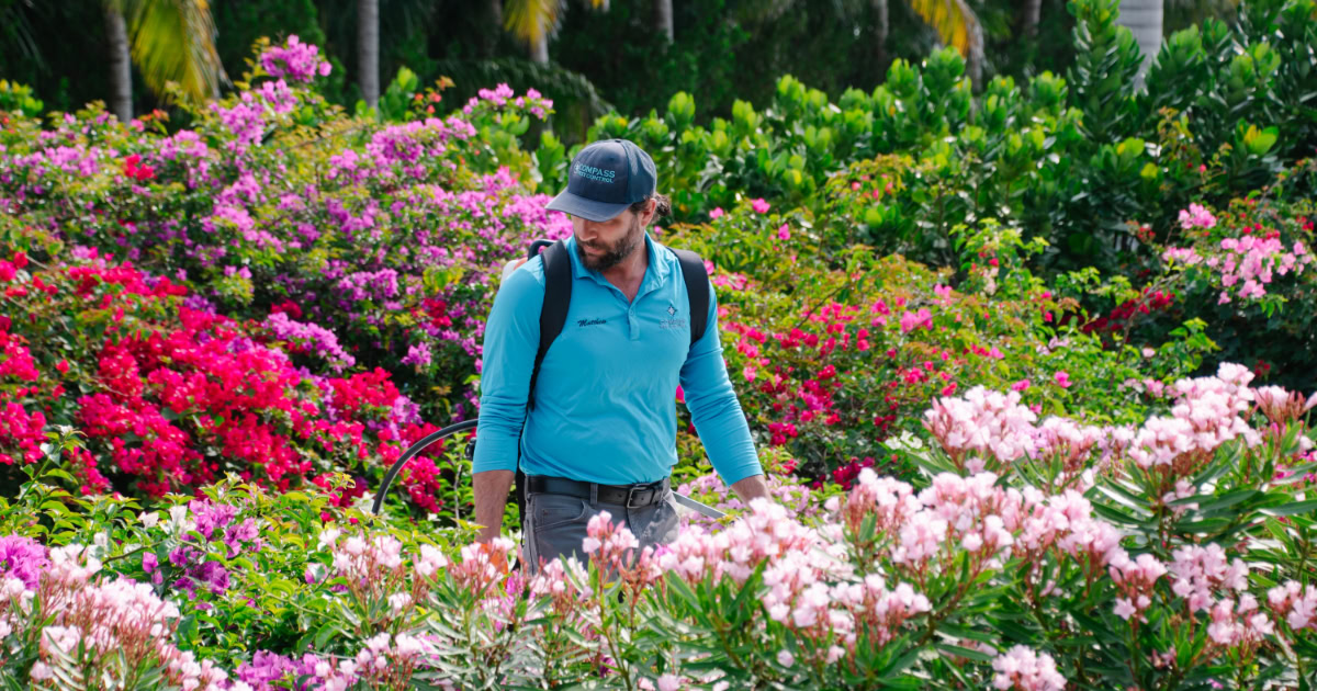 Pest control tech in flower bed